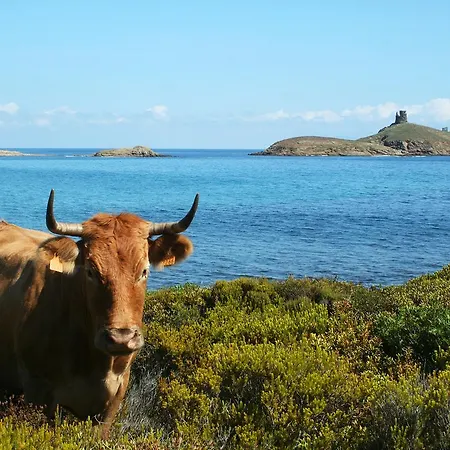 Latu Corsu - Cote Corse - Et D'hotes Au Cap Corse Ersa