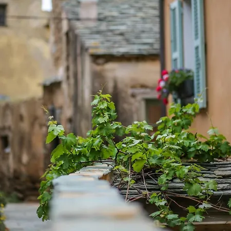 Latu Corsu - Cote Corse - Et D'hotes Au Cap Corse 3* Ersa