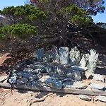 Latu Corsu - Chambres D'Hotes Et Gites Au Cap Corse 4*