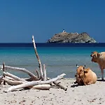 Latu Corsu - Chambres D'Hotes Et Gites Au Cap Corse