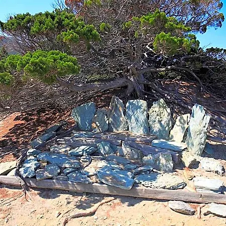 Bed & Breakfast Latu Corsu - D'hotes Et Au Cap Corse 4*
