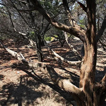 Bed & Breakfast Latu Corsu - Cote Corse - Et D'hotes Au Cap Corse 3*