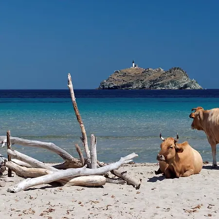 Latu Corsu - D'hotes Et Au Cap Corse