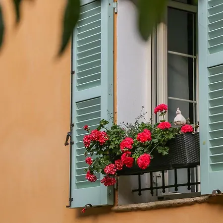 Latu Corsu - Cote Corse - Et D'hotes Au Cap Corse Bed & Breakfast 3*