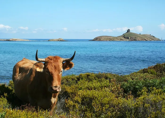 Latu Corsu - Cote Corse - Et D'hotes Au Cap Corse Ersa