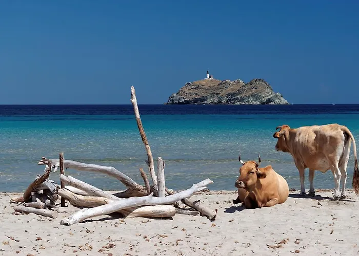 Latu Corsu - Cote Corse - Et D'hotes Au Cap Corse