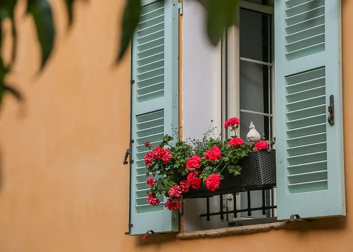 Latu Corsu - Cote Corse - Et D'hotes Au Cap Corse فندق مبيت وإفطار 4*