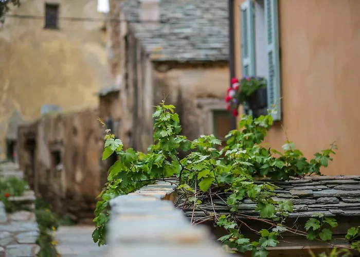 Latu Corsu - Cote Corse - Et D'hotes Au Cap Corse 4* Ersa